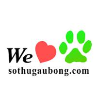 Sở Thú Gấu Bông