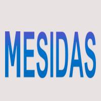 Mesidas Group