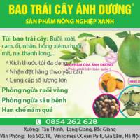 Túi bao trái cây Ánh Dương
