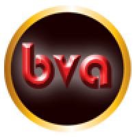 Công Ty CP BVA