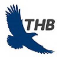 THB Việt Nam