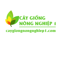 Cây giống nông nghiệp 1