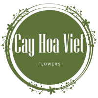 Cây Hoa Việt