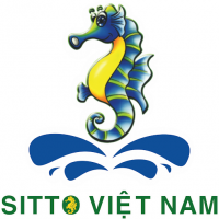 CÔNG TY TNHH SITTO VIỆT NAM