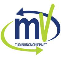 Công Ty TNHH Đầu Tư Và Xây Dựng Minh Vũ