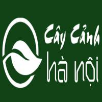 Công ty TNHH MTV Cây cảnh Hà Nội